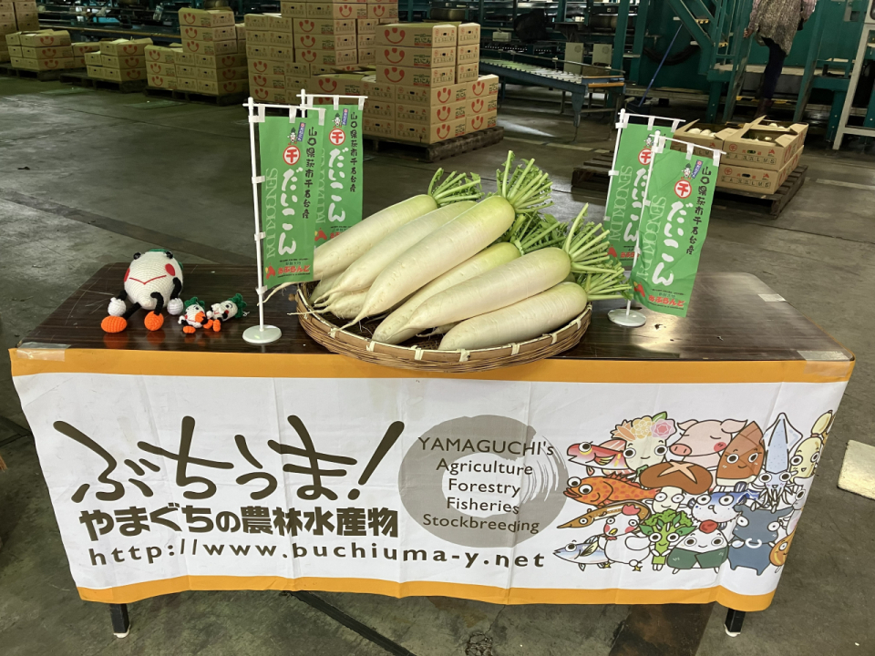 萩の旬!千石台だいこん出発式! 写真1
