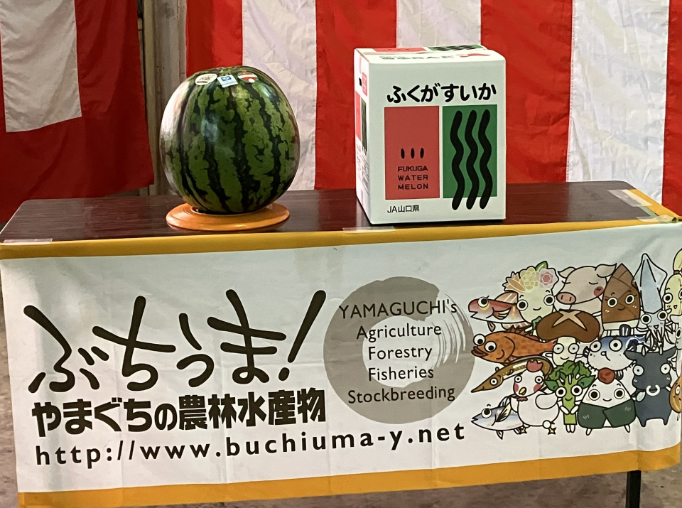 阿武の旬！福賀すいか出発式！ 写真2