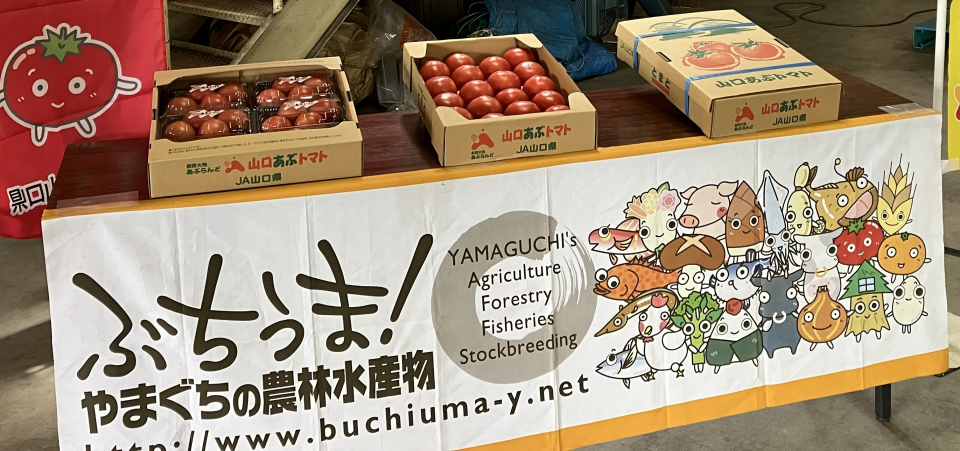 萩の旬!山口あぶトマト出発式! 写真1